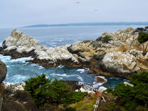 A rocky coastline with jagged cliffs, blue sea waves crashing, and some green shrubs in the foreground under a cloudy sky.