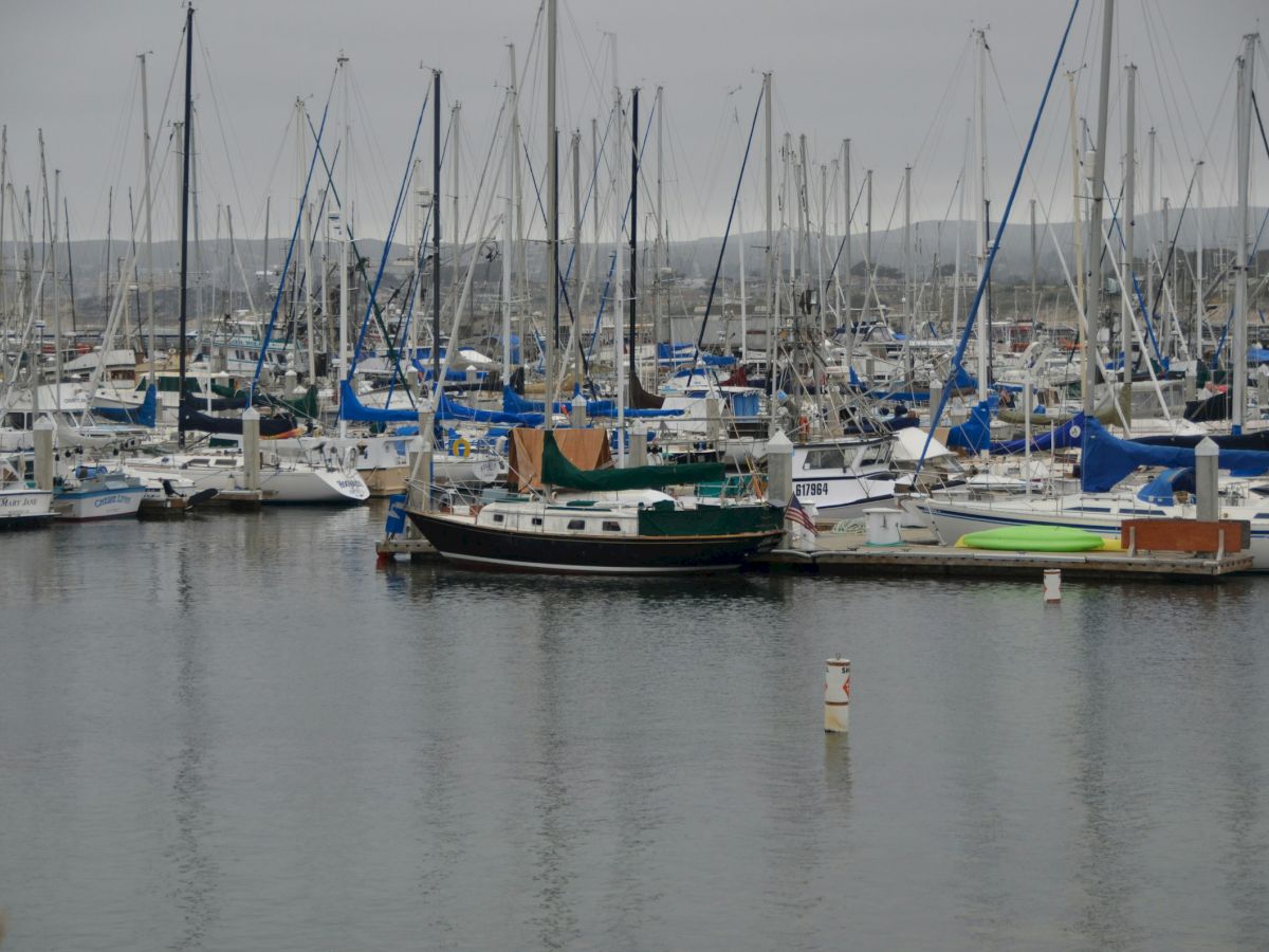 A calm harbor filled with numerous sailboats and yachts moored closely together, their masts reaching up against a hazy sky.