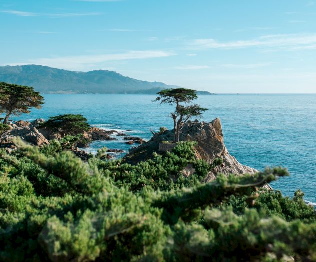 A coastal scene with a rocky shoreline, windswept trees, and calm blue sea under a clear sky, edge-of-landscape feeling.